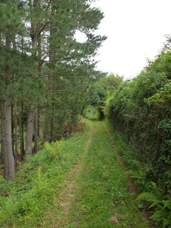Viviendas Rurales Aldea De Dosamantes Pesaguero-La Parte Екстер'єр фото