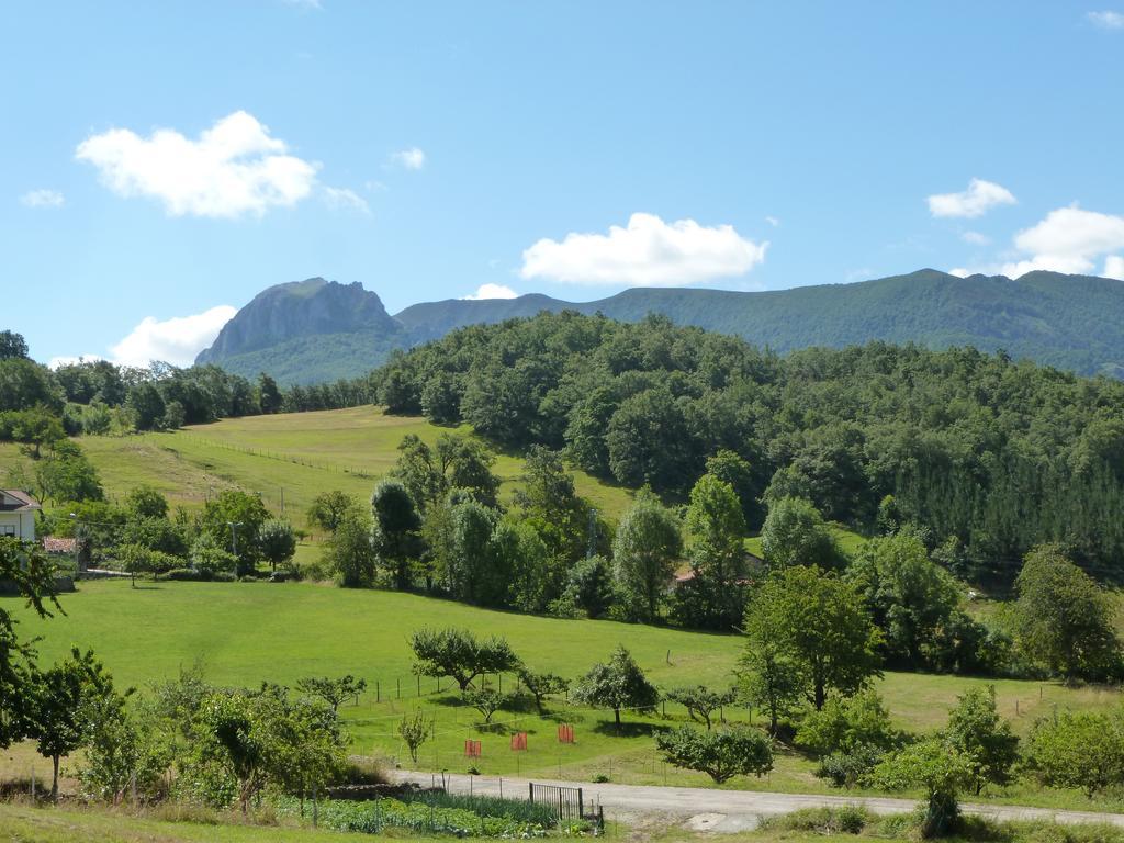 Viviendas Rurales Aldea De Dosamantes Pesaguero-La Parte Номер фото