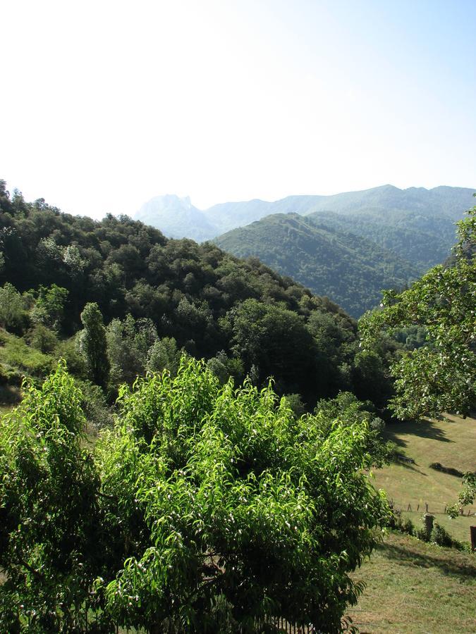 Viviendas Rurales Aldea De Dosamantes Pesaguero-La Parte Екстер'єр фото